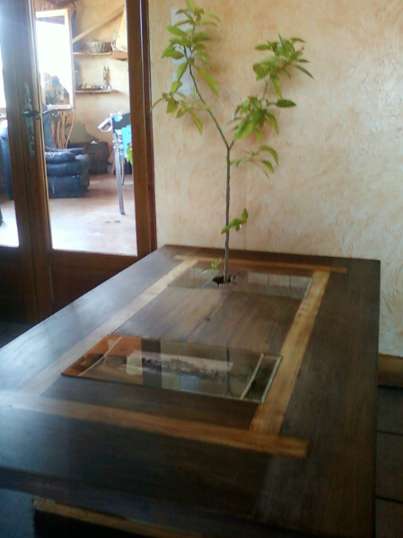 table basse en chataigné